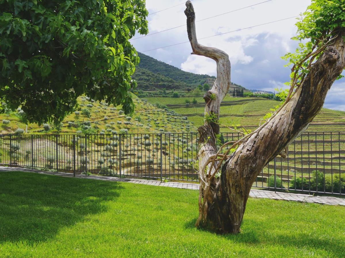 Quinta Do Tedo Bed & Breakfast Folgosa  Exterior photo