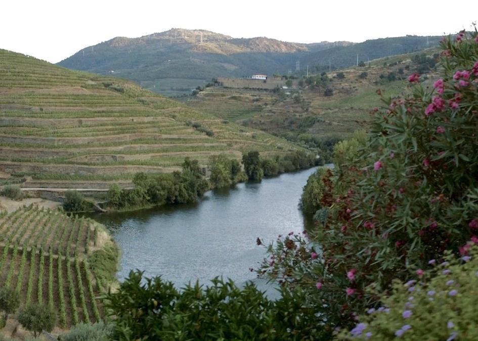 Quinta Do Tedo Bed & Breakfast Folgosa  Exterior photo
